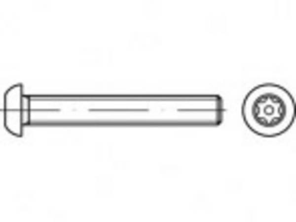 TOOLCRAFT TO-5380197 Veiligheidsschroeven M4  40 mm Binnen-T   88116 RVS A2 100 stuk(s)