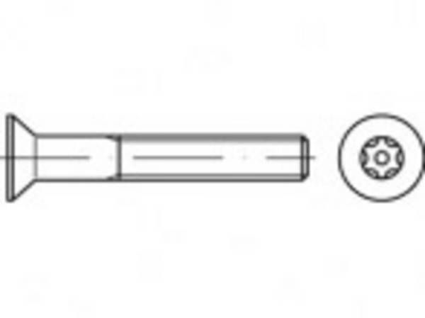 TOOLCRAFT TO-5380329 Veiligheidsschroeven M8  20 mm Binnen-T   88117 RVS A2 100 stuk(s)