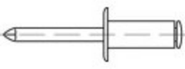 TOOLCRAFT TO-5381145 Popnagel 6 mm RVS 200 stuk(s)