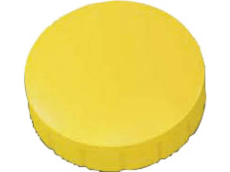 Maul magneet MAULsolid, diameter 24 x 8 mm, geel, 10st