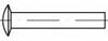 TOOLCRAFT TO-5449188 Lensklinknagel 2.5 mm 1000 stuk(s)