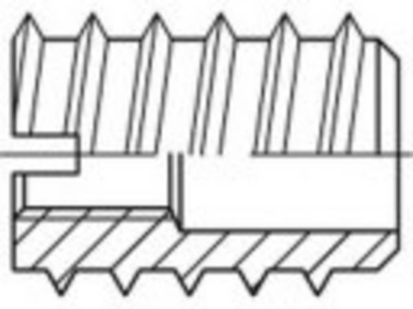 TOOLCRAFT  TO-5454534 Inschroefmoer M3   DIN 7965   Messing  100 stuk(s)