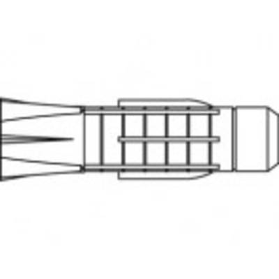 TOOLCRAFT  Plug 31 mm  TO-5455083 100 stuk(s)