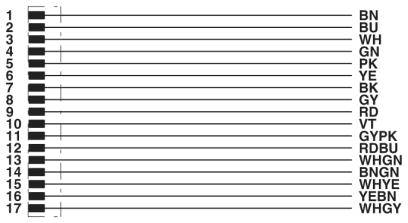 Het beeld toont een tabel met 17 rijen. Elke rij bevat gekleurde letterafkortingen zoals 'BN', 'BU', 'WH', 'GN'.