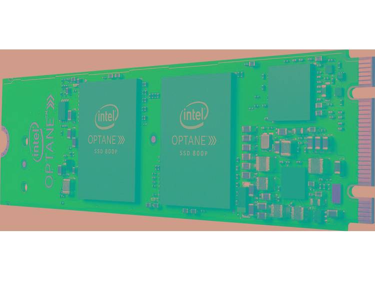 Intel SSDPEK1W060GA01 SSD harde schijf 58 GB PCIe NVMe 3.0 x2
