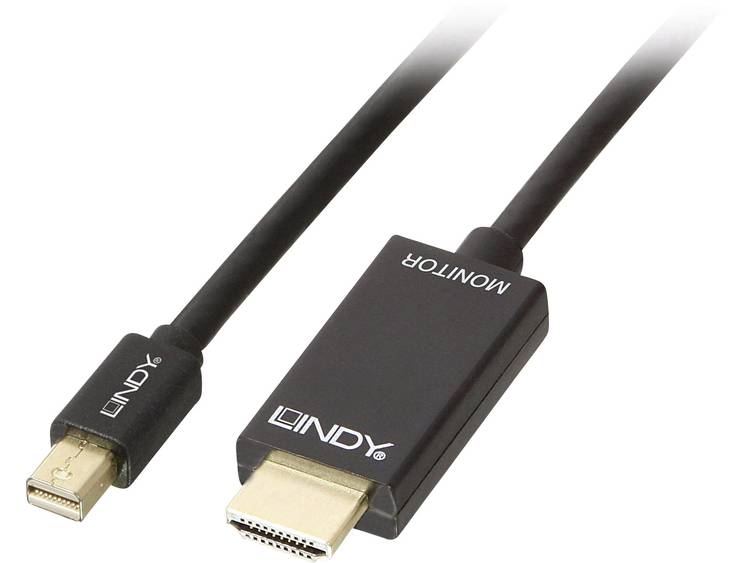 Lindy 36927 Diplayport HDMI Zwart kabeladapter-verloopstukje