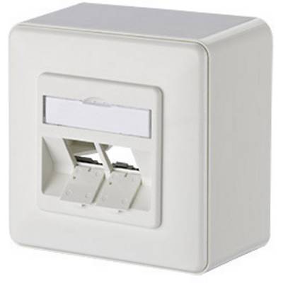 Een witte, rechthoekige netwerkaansluiting met twee vrije RJ-45-poorten voor Ethernet-kabels, gemonteerd aan een muur.