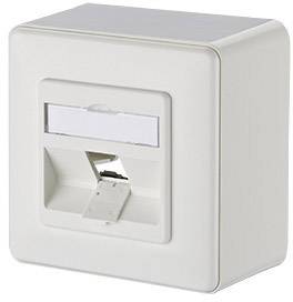 Witte wandcontactdoos met een Ethernet-aansluiting, geschikt voor wandmontage binnenshuis.