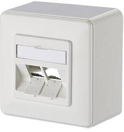 Witte, rechthoekige netwerkaansluiting met twee RJ45-poorten, geschikt voor wandmontage binnenshuis.