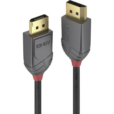 Twee zwarte kabels met goudkleurige DisplayPort-aansluitingen, gemerkt met 'Lindy'. Geschikt voor audio-visuele verbindingen.