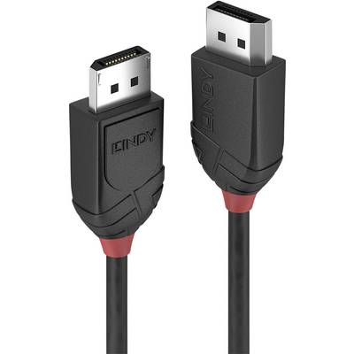 Een zwarte DisplayPort-kabel met twee aansluitingen die respectievelijk zwarte en rode details hebben, op een witte achtergrond.