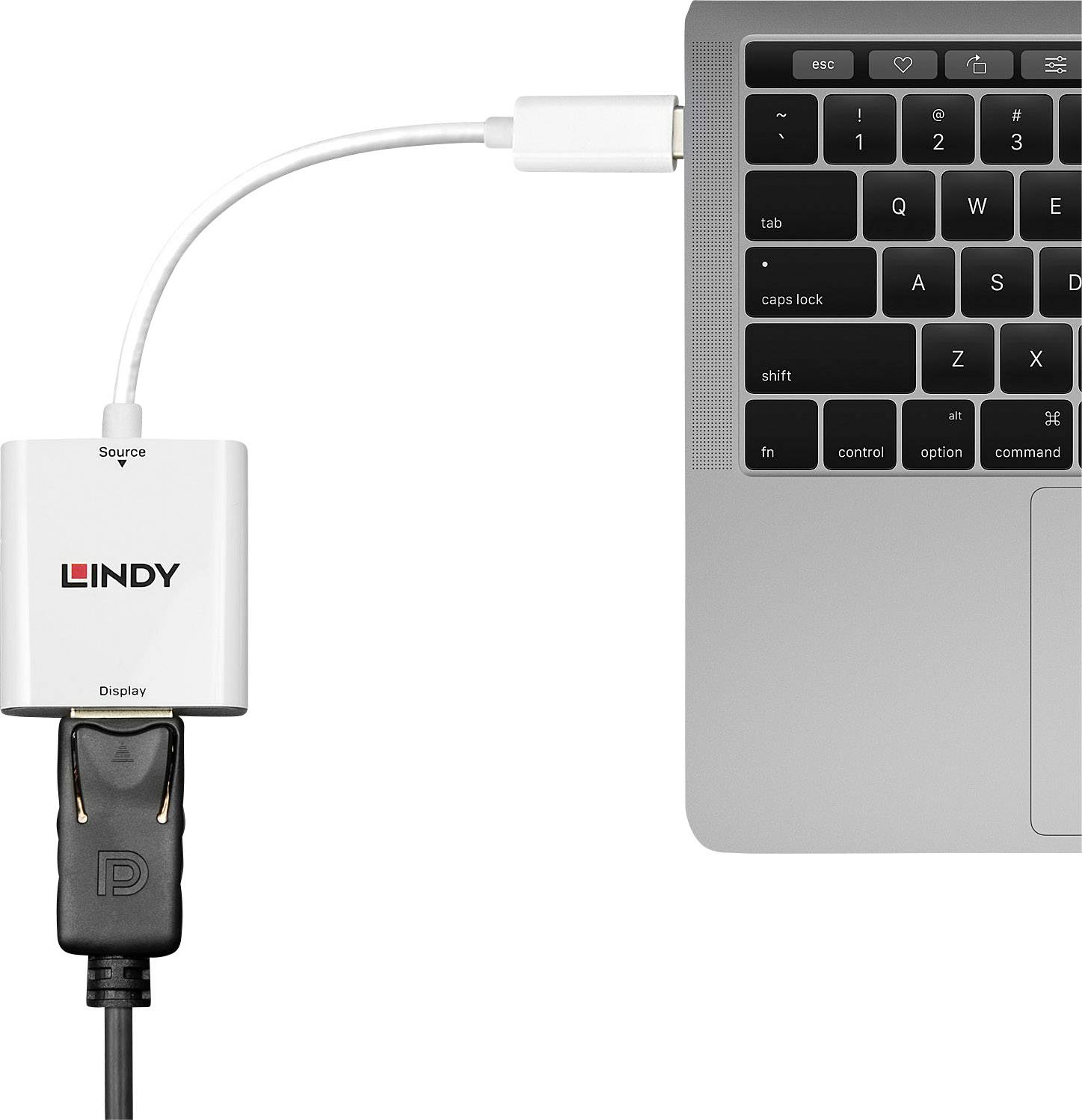 Lindy - Externe videoadapter - USB-C 3.1 - DisplayPort