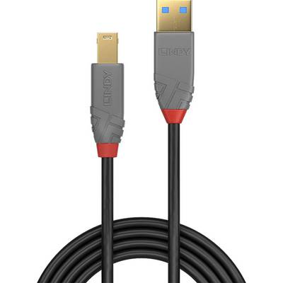 Een grijs USB-kabel met gouden aansluitingen, een standaard USB-aansluiting aan de ene kant en een kleinere stekker aan de andere kant.