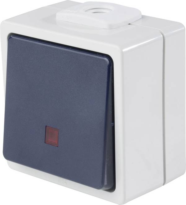 AS Schwabe 62453  Toets  Met licht IP54 Grijs