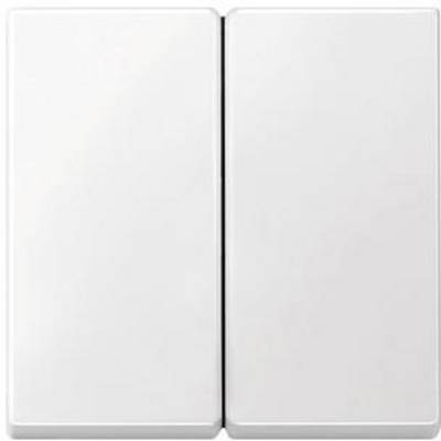 Een witte, dubbele lichtschakelaar zonder zichtbare aanduiding of tekens, aan een neutrale muur.