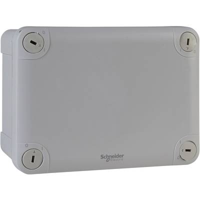 Grijs elektrisch behuizing met het logo 'Schneider Electric'. Het heeft vier afgesloten schroeven op de hoeken.
