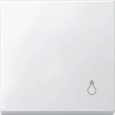 Een witte wandschakelaar met een gloeilampensymbool rechtsonder, geeft de functie voor het in- en uitschakelen van licht aan.