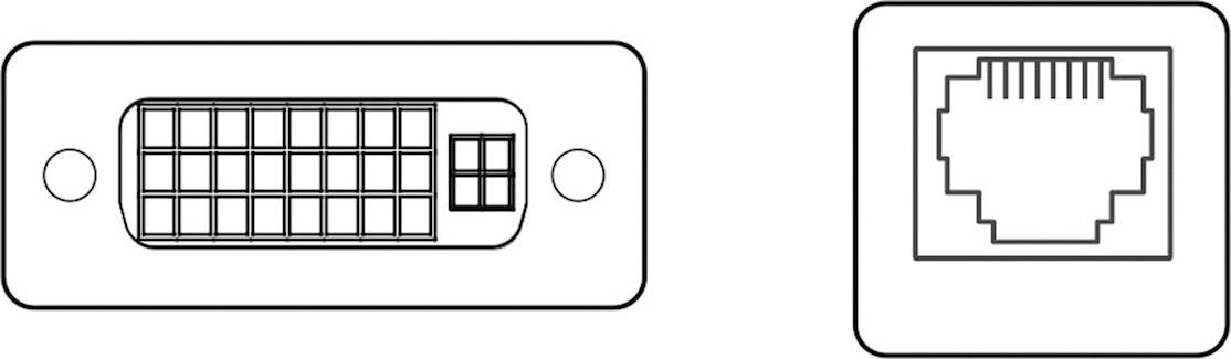 'DVI'- en 'Ethernet'-aansluitingen afgebeeld. Links: DVI-aansluiting met rechthoekige pinnen. Rechts: Standaard RJ45-Ethernet-aansluiting.