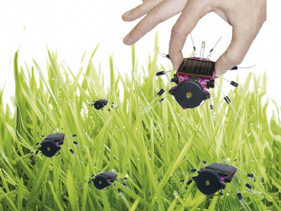 Een hand tilt een kleine, met zonnecellen uitgeruste robot uit het gras, omringd door vergelijkbare robots.