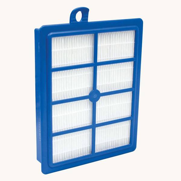 AEG allergy filter       AFS1W