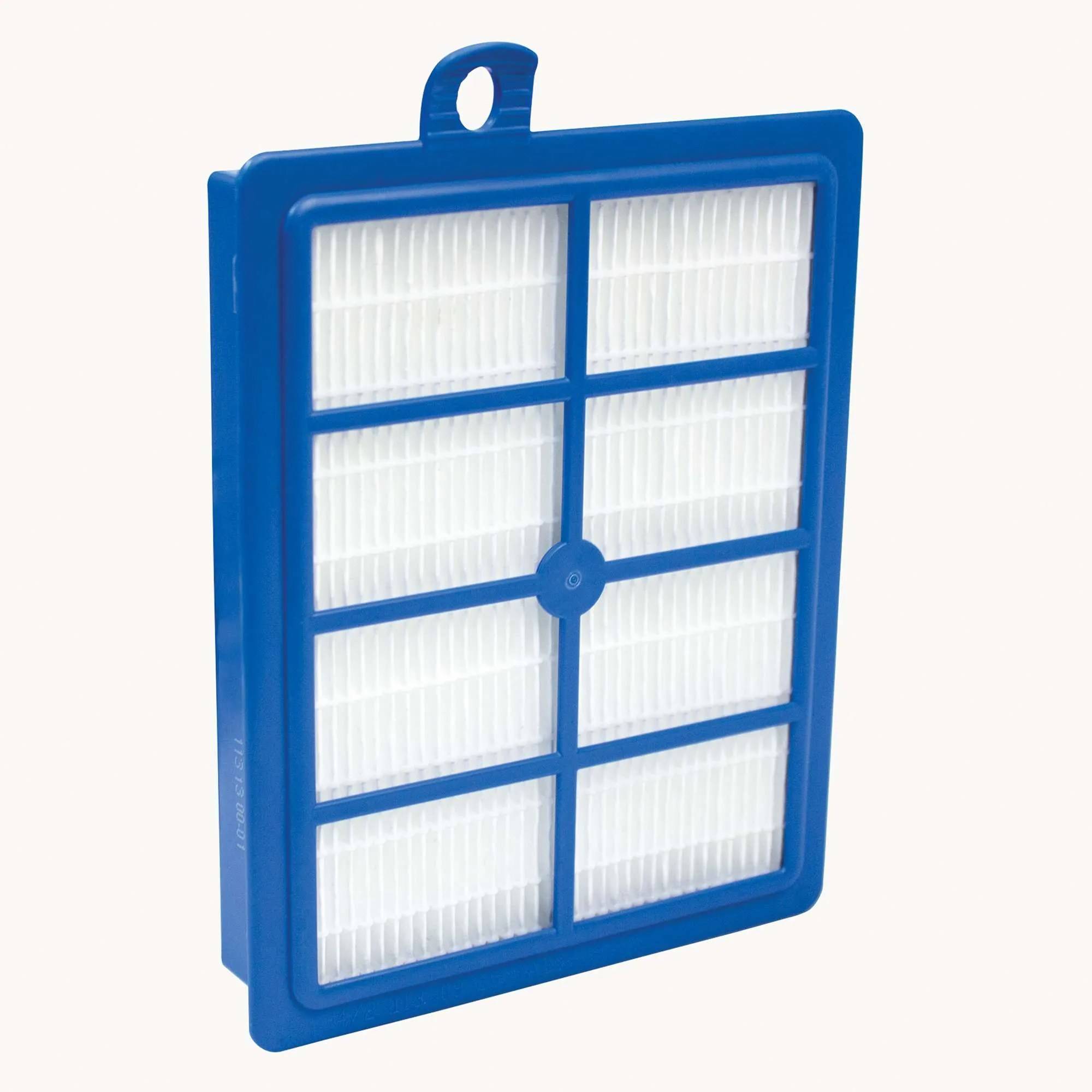 AEG allergy filter AFS1W-0