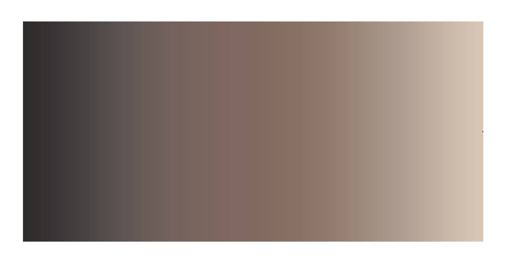 MD Entree - Design mat - Universal - Degrade Brown - Vloerkleed - Antislip - Machine wasbaar - 67 x-0