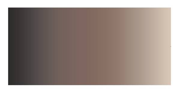 MD Entree - Design mat - Universal - Degrade Brown - Vloerkleed - Antislip - Machine wasbaar - 67 x