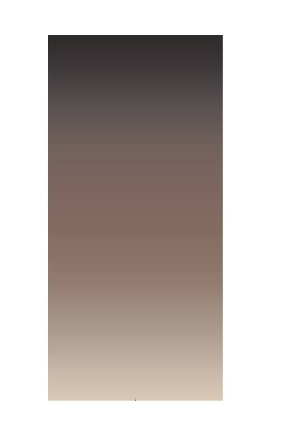 MD Entree - Design mat - Universal - Degrade Brown - Vloerkleed - Antislip - Machine wasbaar - 67 x-1