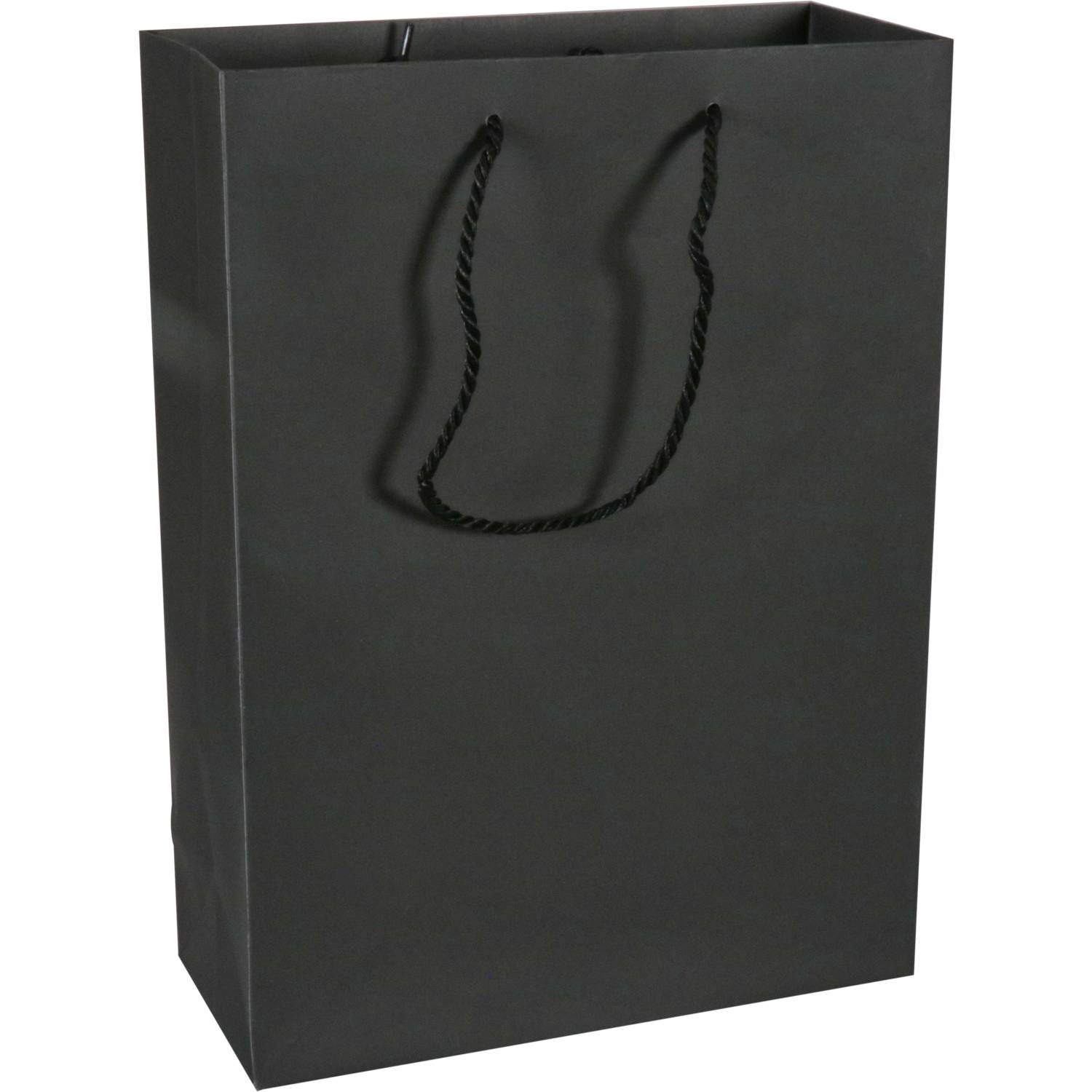 Tas | Papier | met koord | 27x 12x37cm | draagtas | zwart/wit | 100 stuks-0