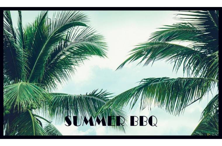MD Entree - Barbecue Mat - Summer BBQ - 67 x 120 cm-0