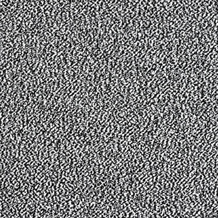 MD Entree - Deurmat - Shannon - Wit/Zwart - Vloerkleed - Met antislip - Wasbaar- Vocht absorberend --2