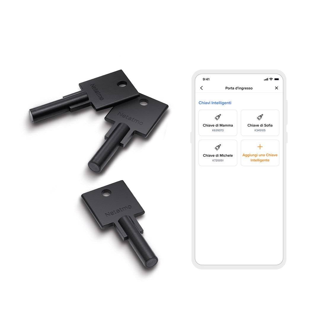 Netatmo elektrisch deurslot - slimme sleutels - 3 sleutels - nfc-sleutel - silver 37007305048123700730504812-3