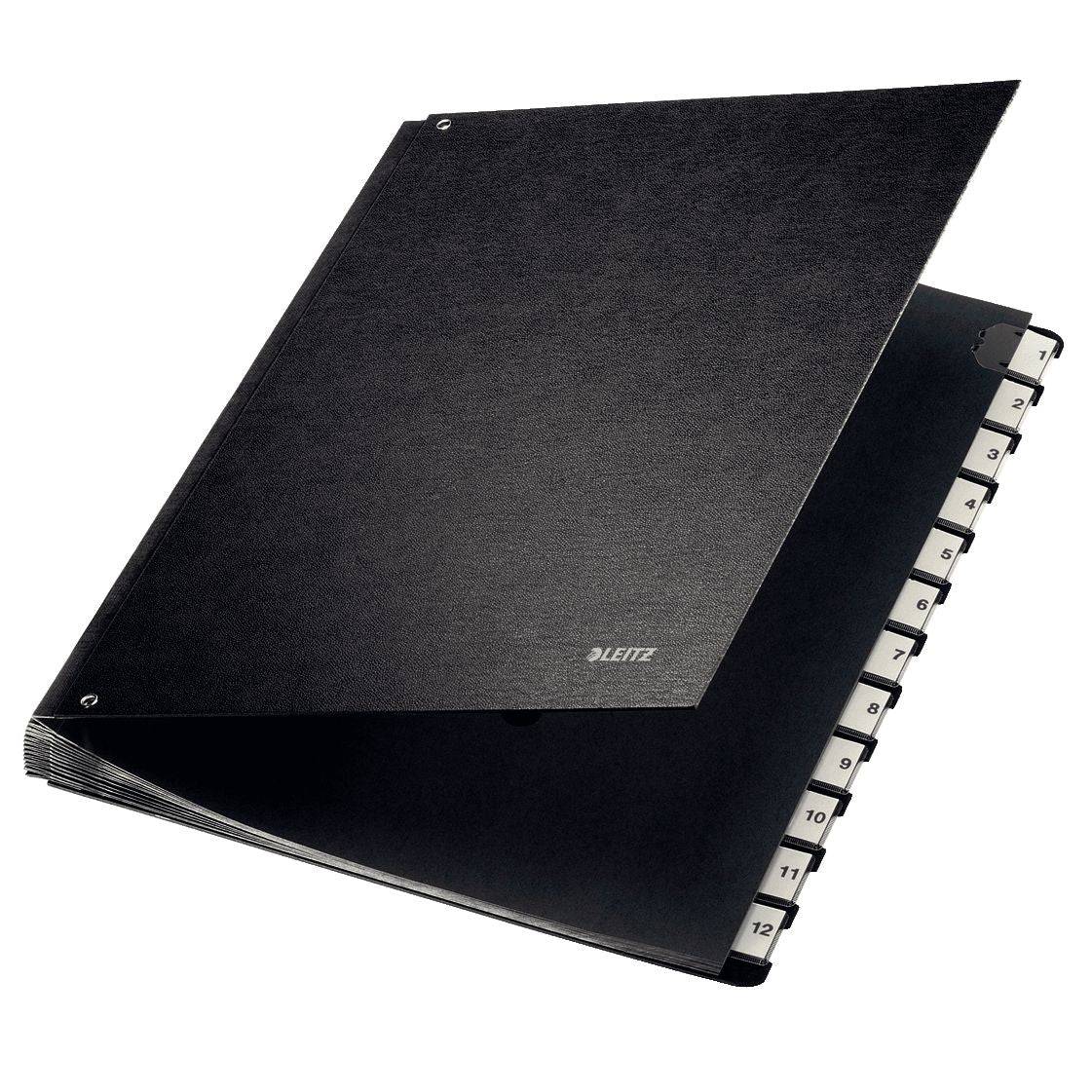 Leitz 4002432311675 Leitz - 58120095 sorteermap Zwart Doos A4-0