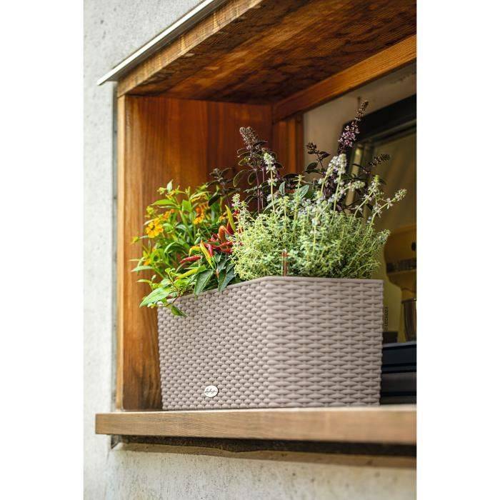 LECHUZA Tuinier - Cottage Balkon 50 - 50 x 19 x 19 cm - 8 L - Compleet Kit - Schuurbaar-2