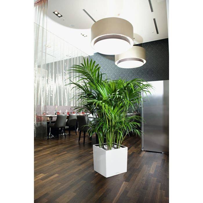LECHUZA Bloempot Premium Cube 40 - 39,0 x 39,0 x 40 cm - 31 L - Compleet pakket - Glanzend Wit-1
