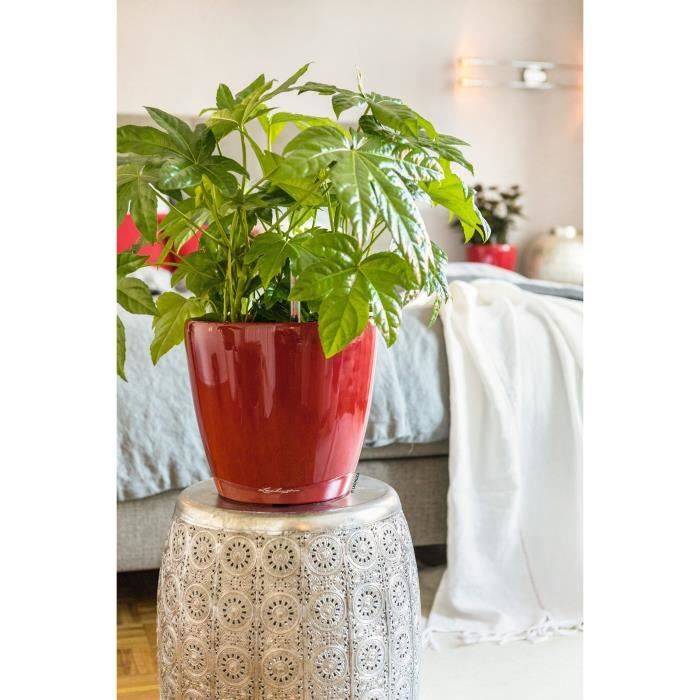 LECHUZA Bloempot Classico Premium LS 21 - Ø 22 x 20 cm - 3 L - Compleet pakket - Automatische Bewatering - Glanzend Scha-1