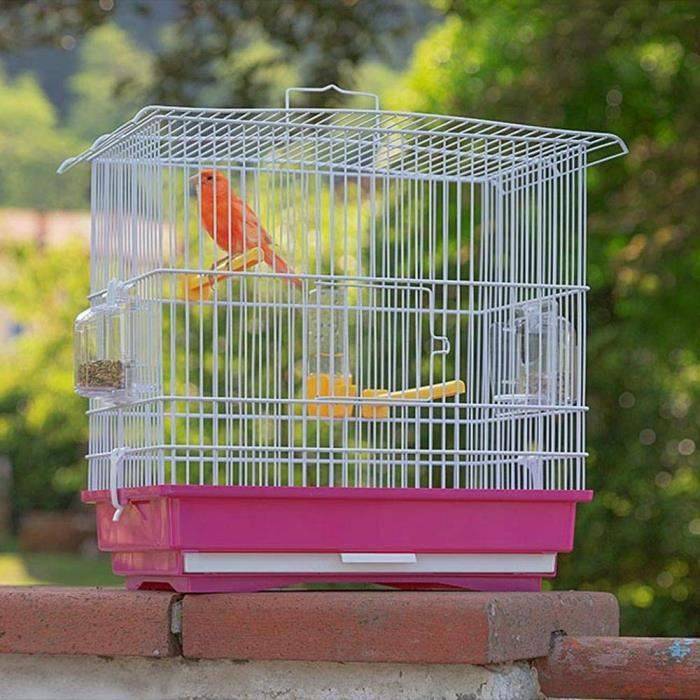 GIUSY Rode en Witte Vogelkooi-1