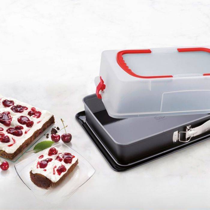 DR OETKER Set van 2 Springvormen met Deksels - Back-Idee Kreativ - 42 x 29 cm-1