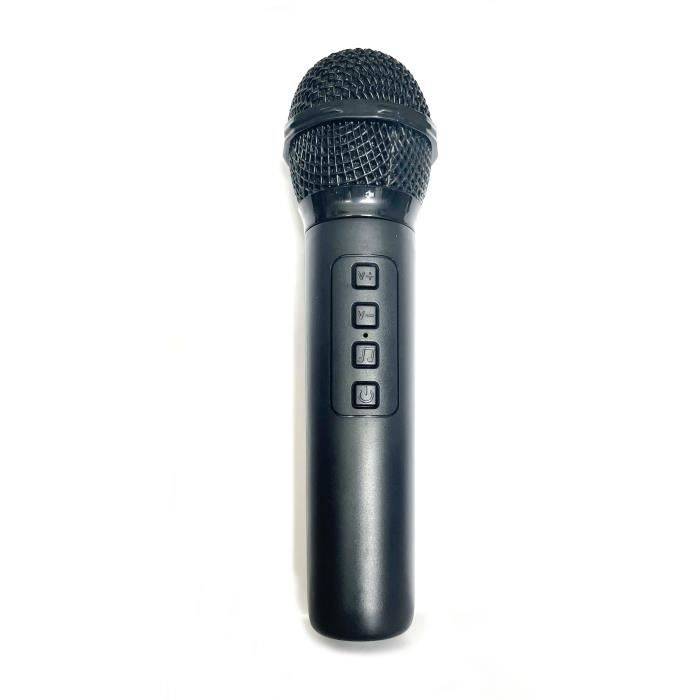 INOVALLEY Karaoke Speaker met Verlichting - KA123-XXL - 900W - Bluetooth V5.0 - Zwart-4