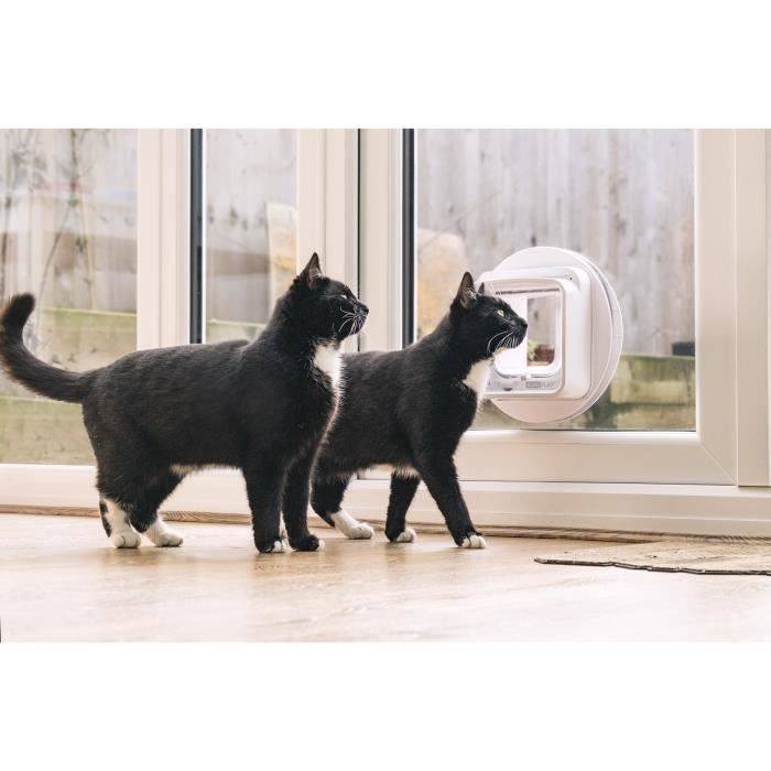 SUREFLAP Kattenluik - Wit - 142 mm x 120 mm (zonder hub)-2