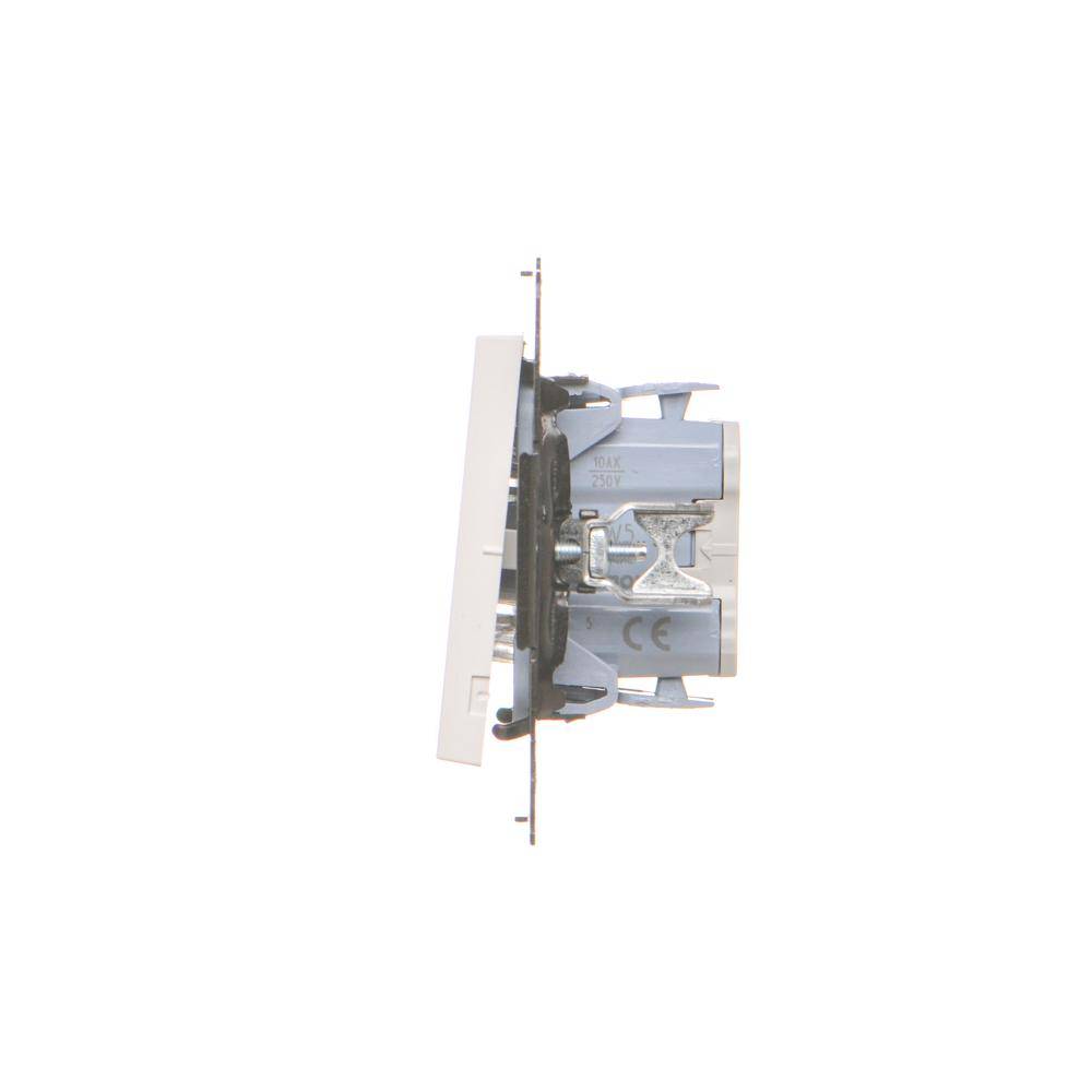 Simon 55 module witte matte serieschakelaar veerklemmen 10AX 250V-3