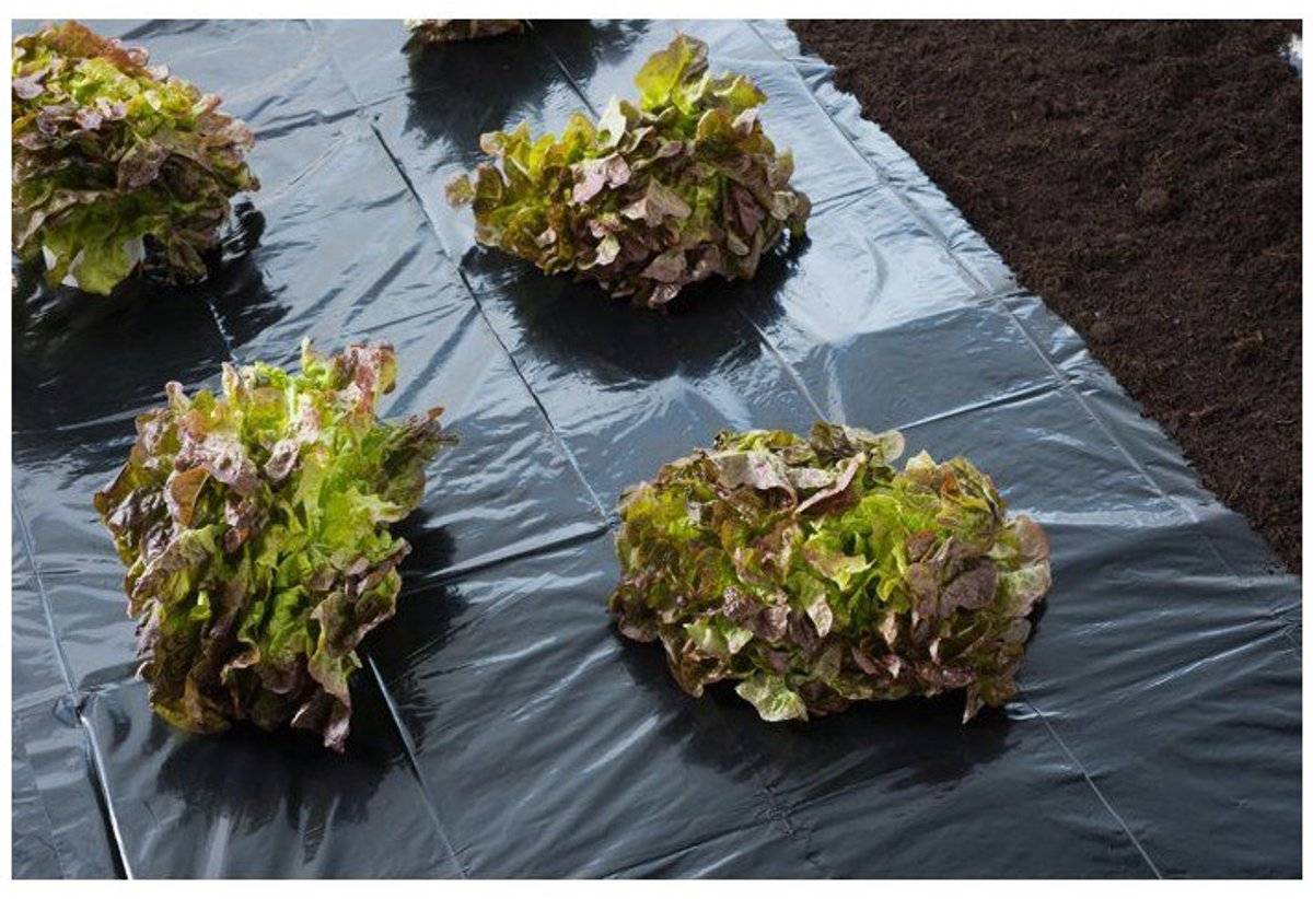 Nature – mulchfolie 3 x 4 m – 100µ – uv-behandeld 87113383202288711338320228-0