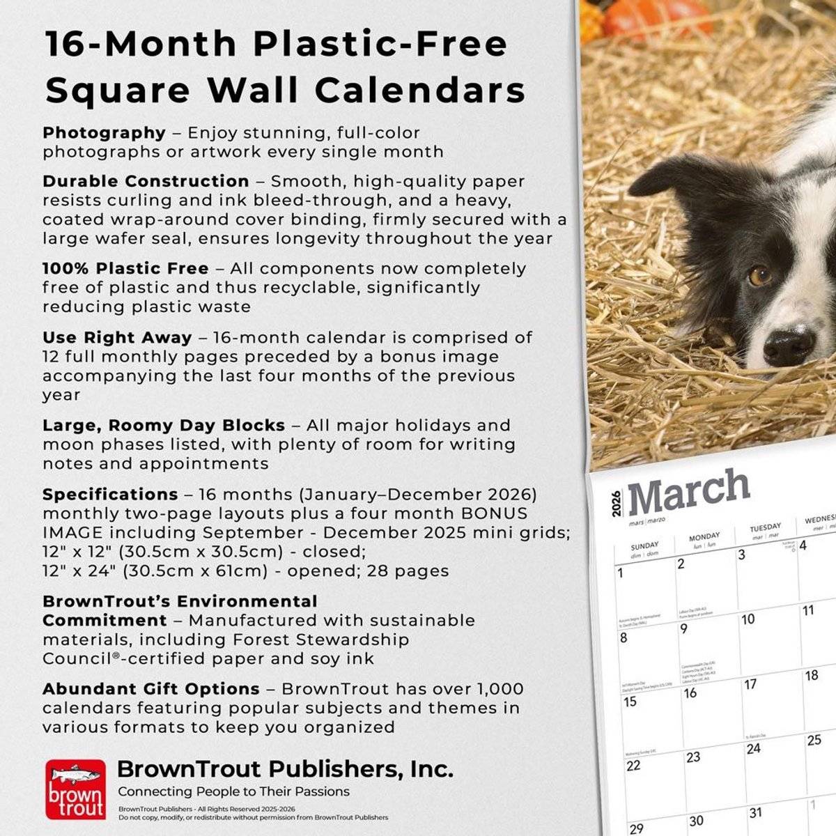 Browntrout border collie kalender 2026 97983307025659798330702565-0