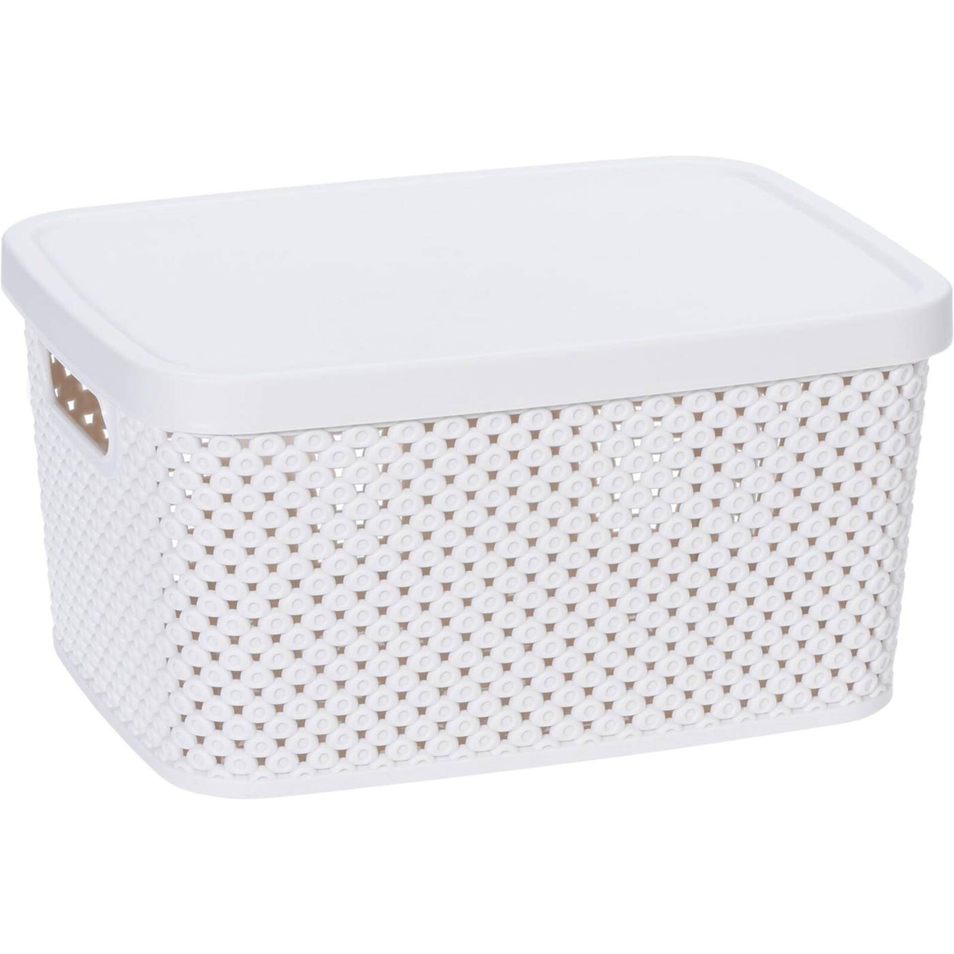 Opbergdoos met Deksel 22cm Verschillende Uitvoeringen-1