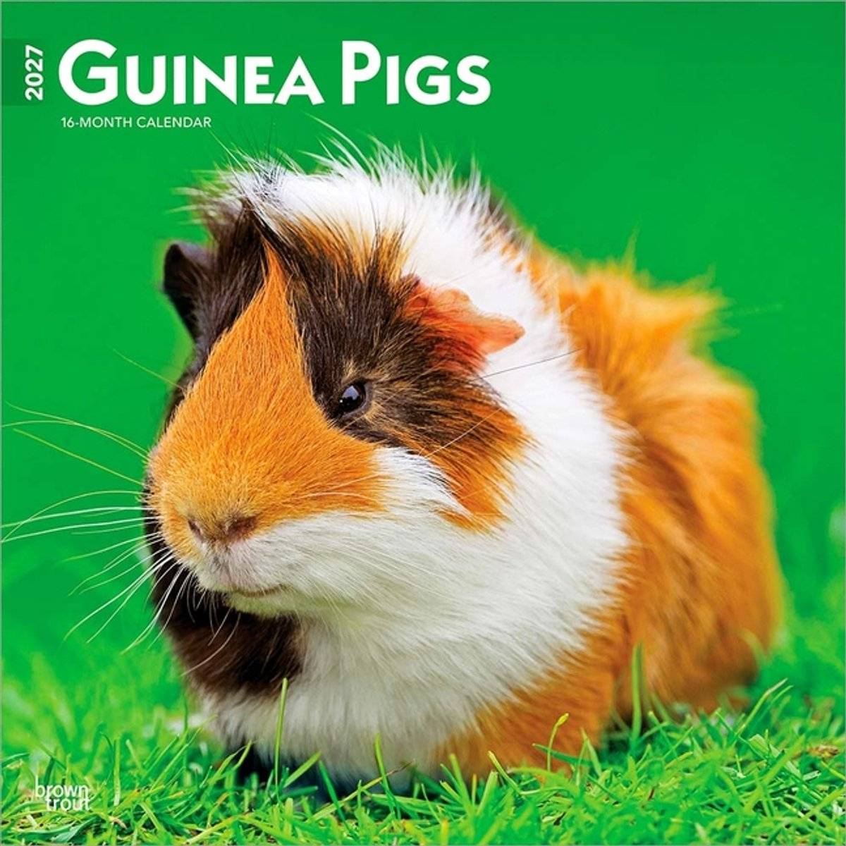 Browntrout cavia kalender 2027 97983307119019798330711901-0