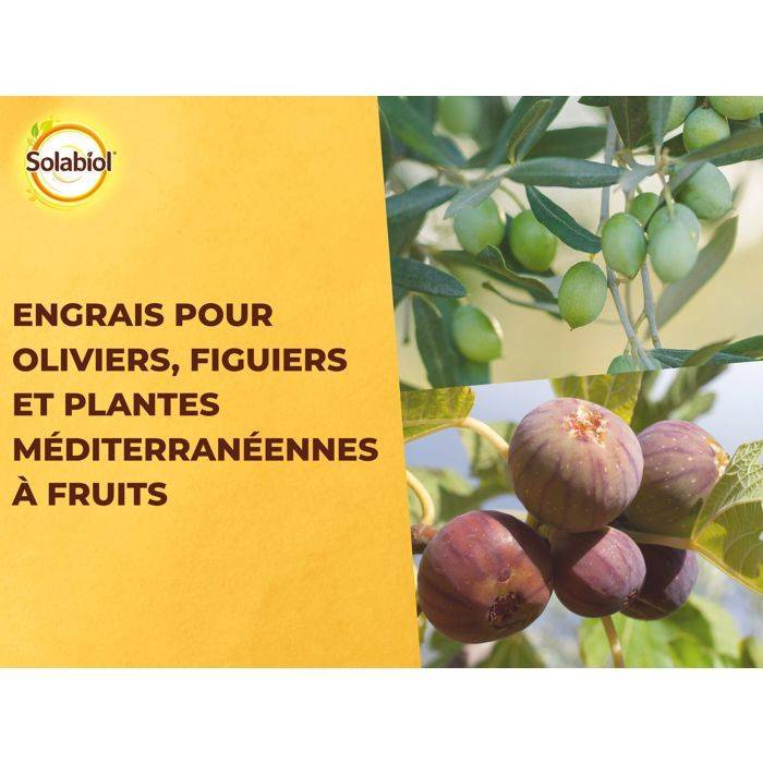 SOLABIOL Mest voor Olijf- en Mediterraanse Planten - 750 g-3