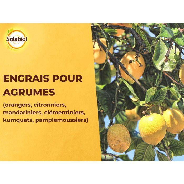 SOLABIOL Mest voor Citrus - 1,5 kg - Bevordert Vruchtvorming-3