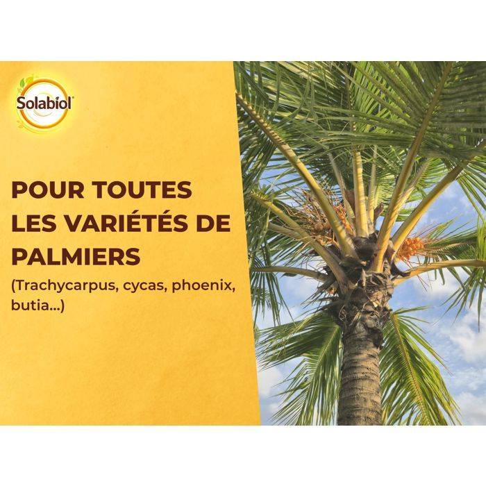 SOLABIOL Mest voor Palmbomen en Mediterraanse Planten - 1,5 kg-3