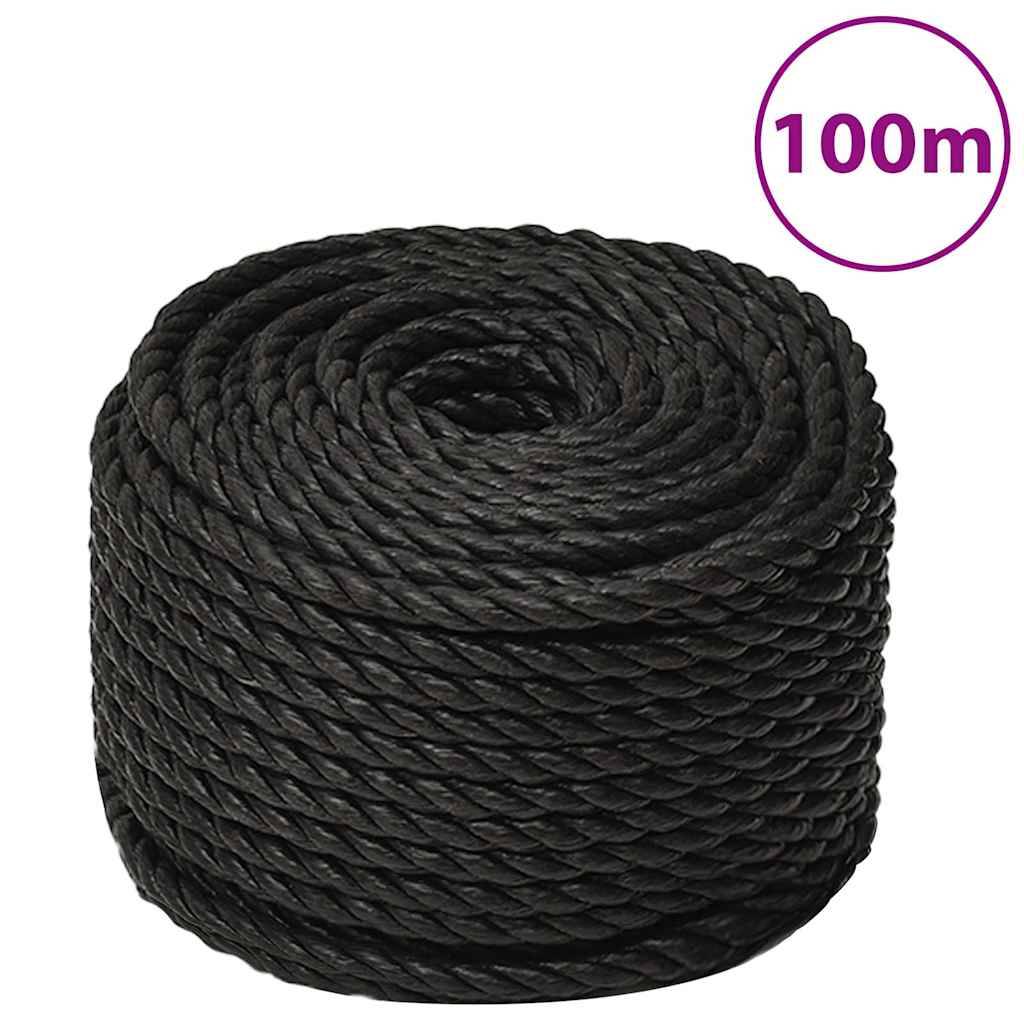 Vidaxl werktouw 10 mm 100 m polypropeen zwart 87202871321968720287132196
