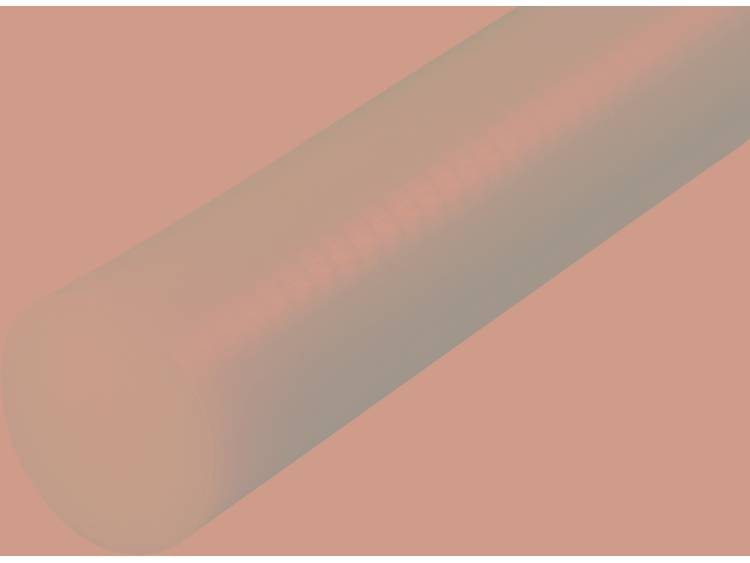 Polyamide-Ronde staaf (Ø x l) 40 mm x 500 mm
